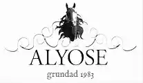 Alyose Kampanjer